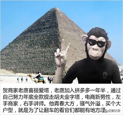 订单不涨？解锁测试准爆款！