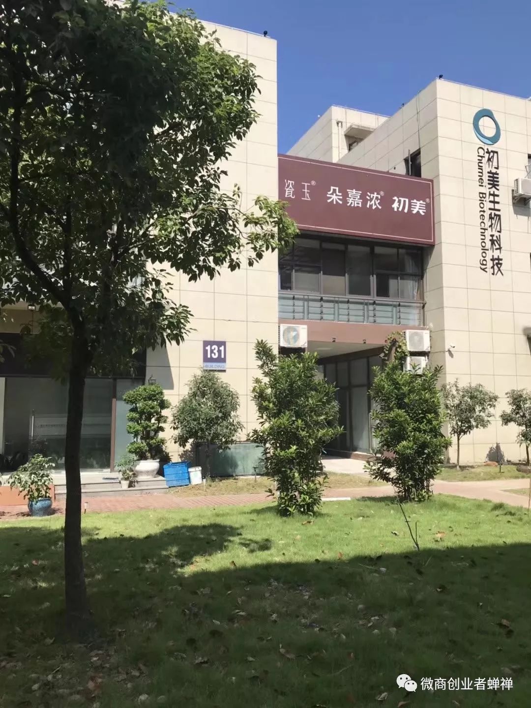 蝉禅：你为什么会成功？