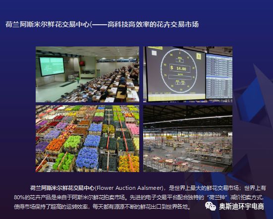 阿里巴巴助力云南十四届农博会， 绿色论坛