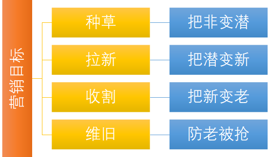【老梁爆款生产线】达摩盘标签与营销目标