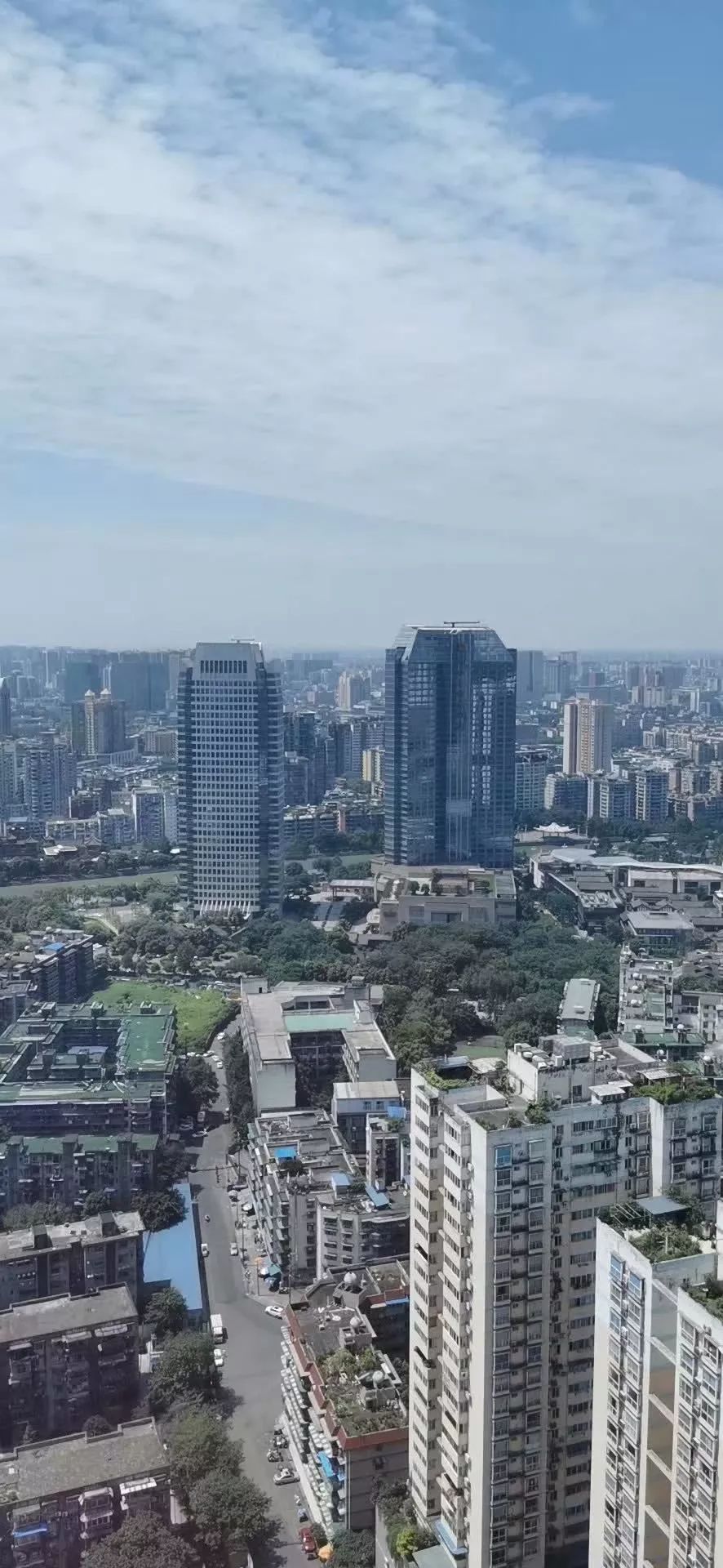 朵嘉浓蝉禅：见识，维度
