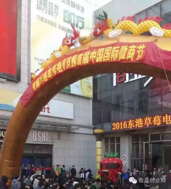 创业狗与草莓的一天