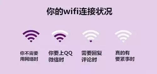 d0821a12-c7c1-4fc2-952a-050393f39dc8.jpg