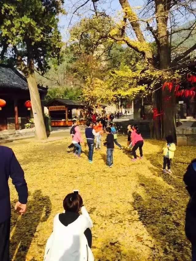 蝉禅：2016年的微商，你所不知道的网红经济（992）