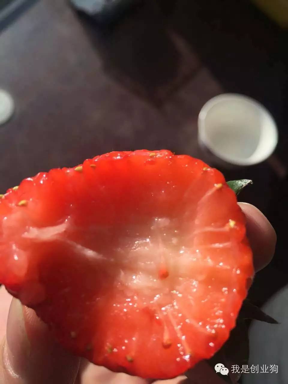 创业狗与草莓的一天