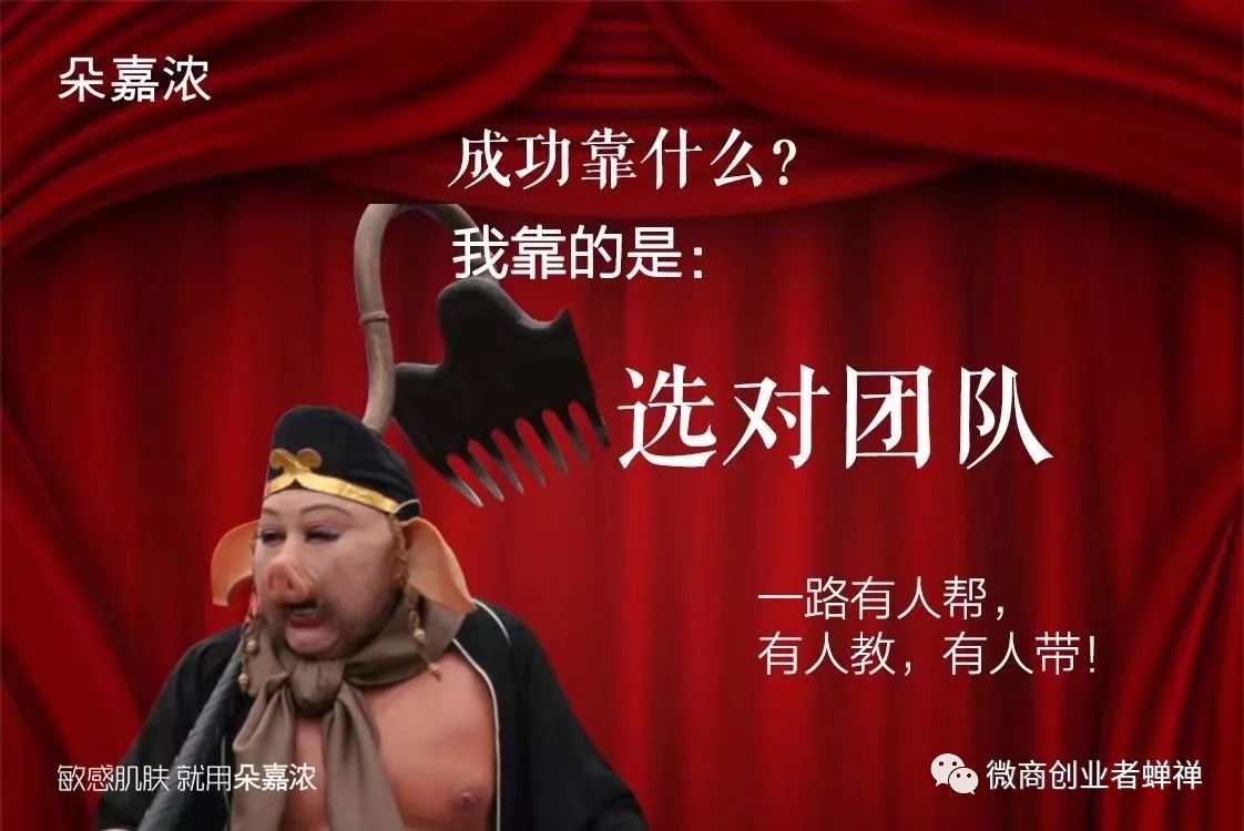 蝉禅：你为什么会成功？