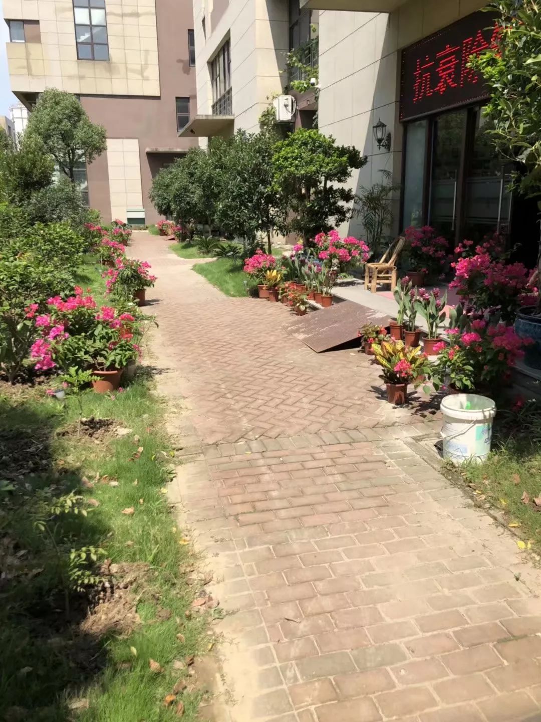 蝉禅：没有对错