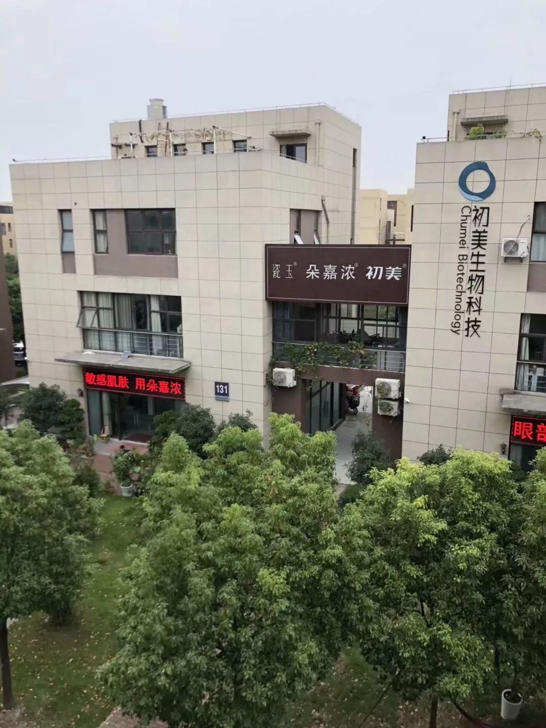 朵嘉浓蝉禅：不谋而合