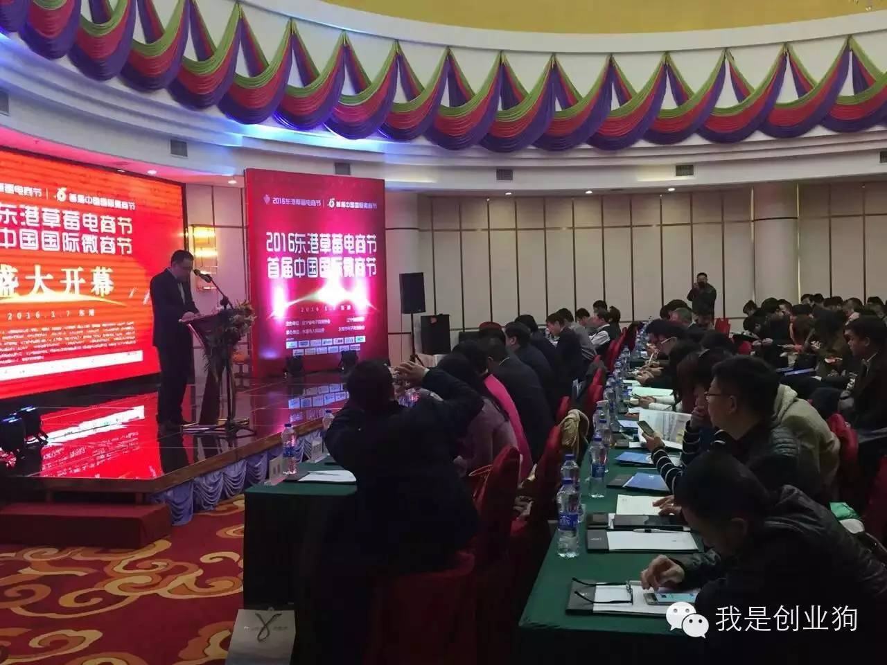 创业狗与草莓的一天