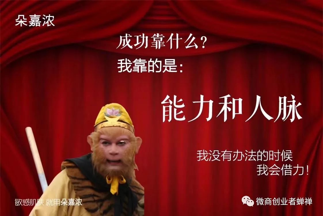 蝉禅：你为什么会成功？