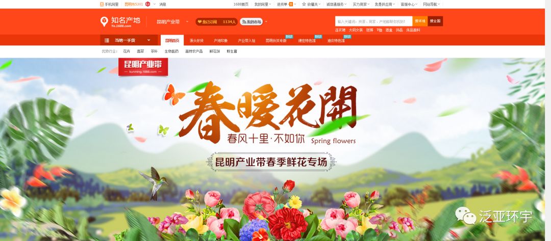 春暖花开，昆明产业带春季鲜花专场活动开始啦