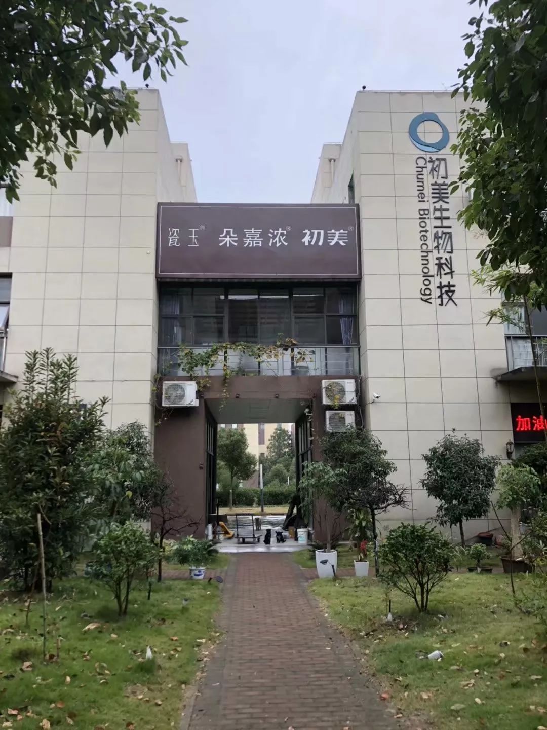 朵嘉浓蝉禅：人情世故