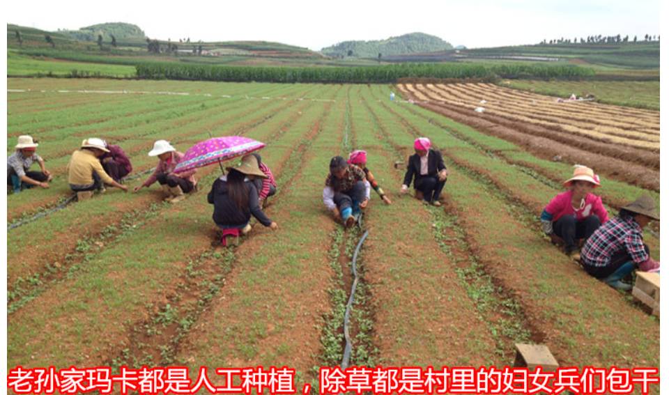用实例司令带你剖析真人主题玩法的种种细节（中）