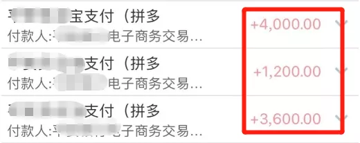 玩转无货源店群，靠拼多多年入百万+