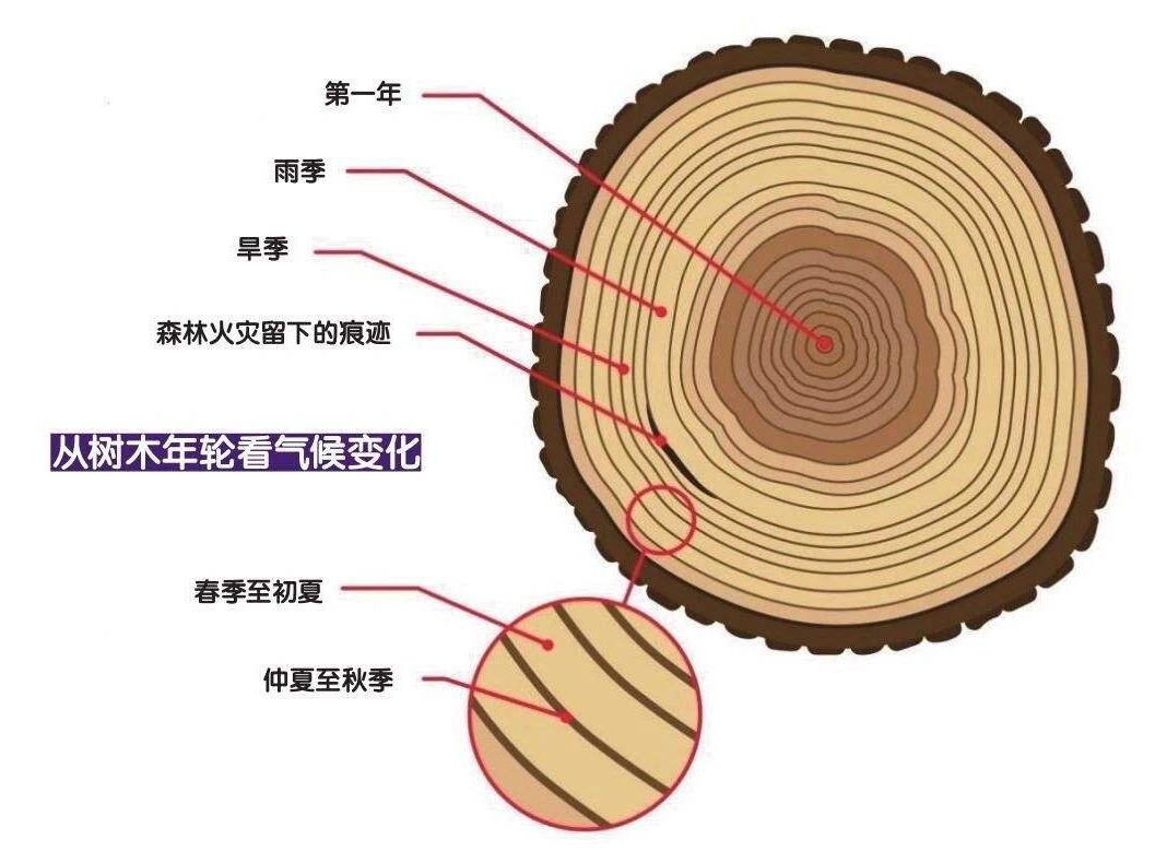 营销，怎样学而致用？回答10个被问得最多的问题
