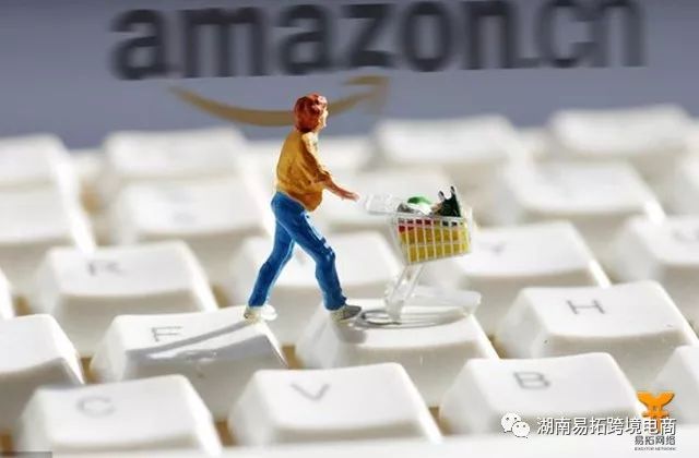 为什么说亚马逊店群月利润堪比传统电商卖家一年利润！