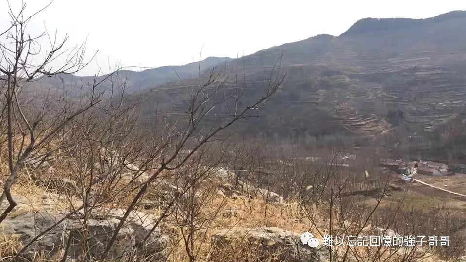 离职吧！因为这一年你没犯过一次错误！