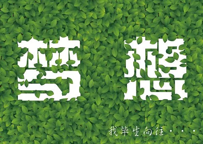 电商小白最实用的12条技巧