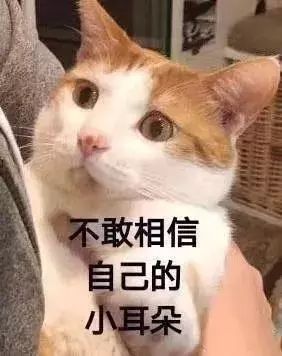 小心！这5类店铺更易遭受恶意中差评、退货！你中招了吗？