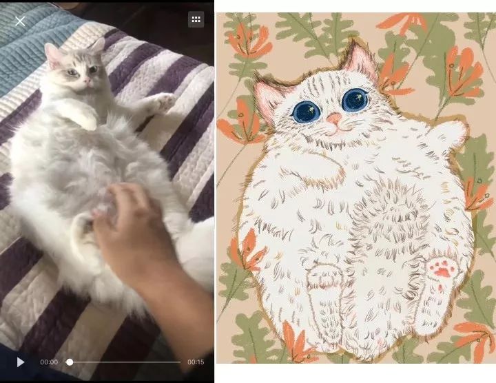“短视频云养猫，在家就能轻松赚钱！”