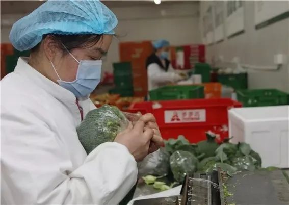 肉搏战！步步高杀入社区团购，对标兴盛优选，步步惊心