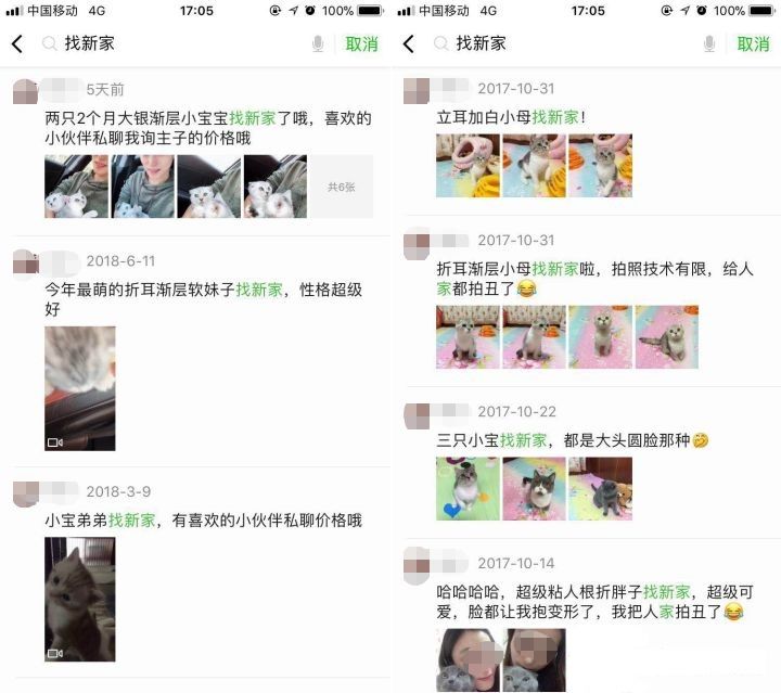“短视频云养猫，在家就能轻松赚钱！”