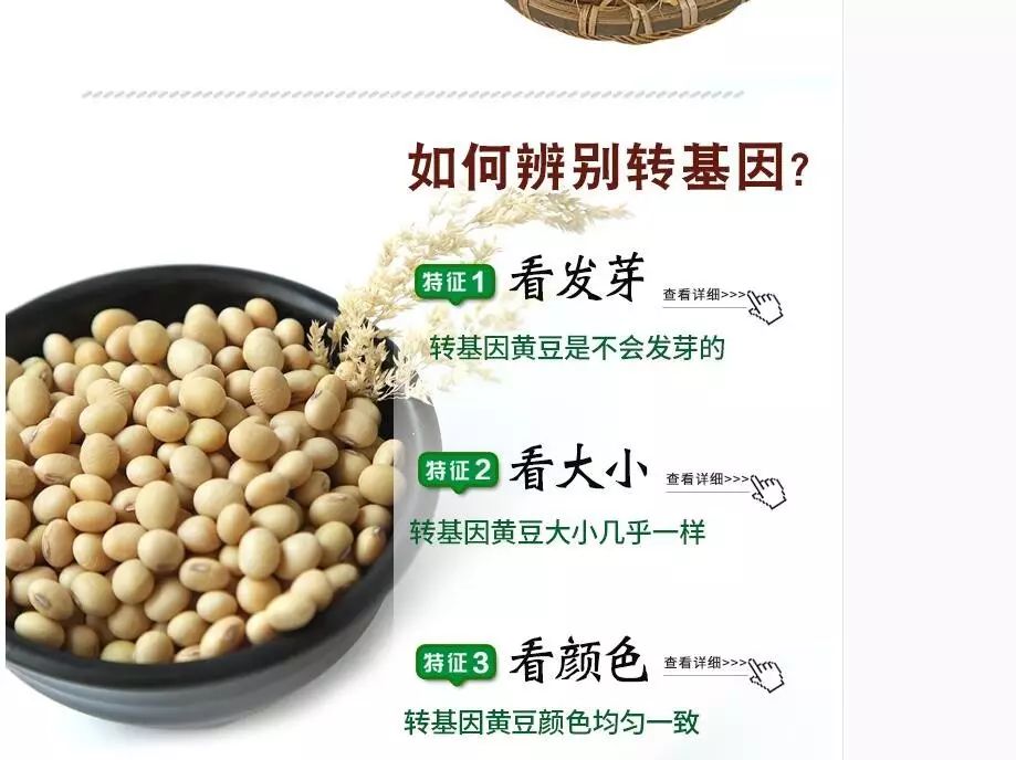 【鹿人说】直通车ROI这么高，背后操作原来是............