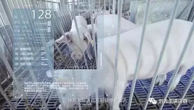 太罕见！刚刚，刘强东再爆猛料！还是对它下了手.....