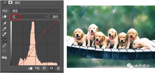 零基础学习photoshop——使用曲线命令快速打造反转片效果