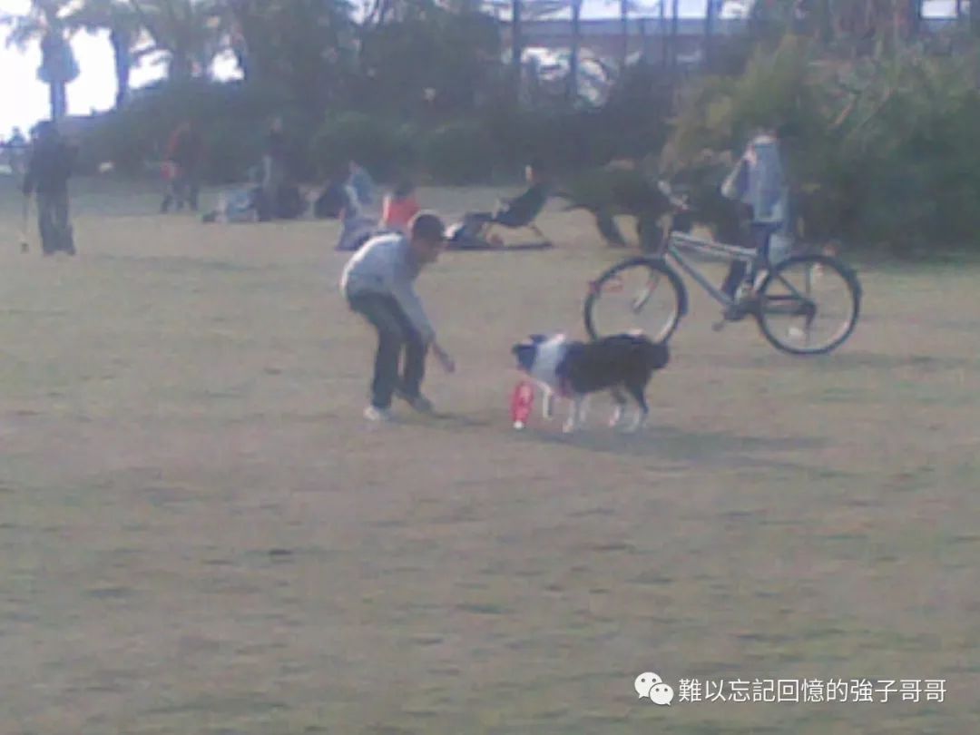 离职吧！因为这一年你没犯过一次错误！