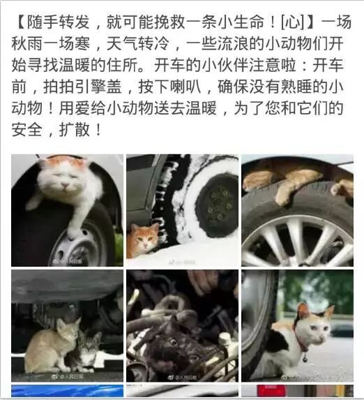 【鹿仁诊】淘宝小卖家的5个常见问题！你中枪了吗