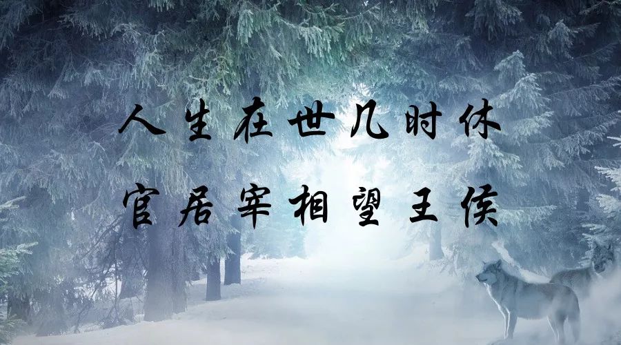 【金钱脉络】:暴利项目，总是难登大雅之堂