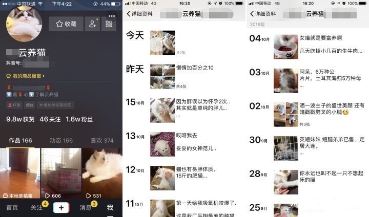 “短视频云养猫，在家就能轻松赚钱！”