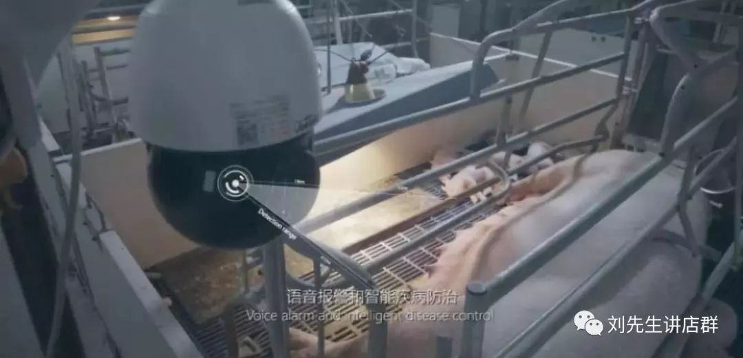 太罕见！刚刚，刘强东再爆猛料！还是对它下了手.....
