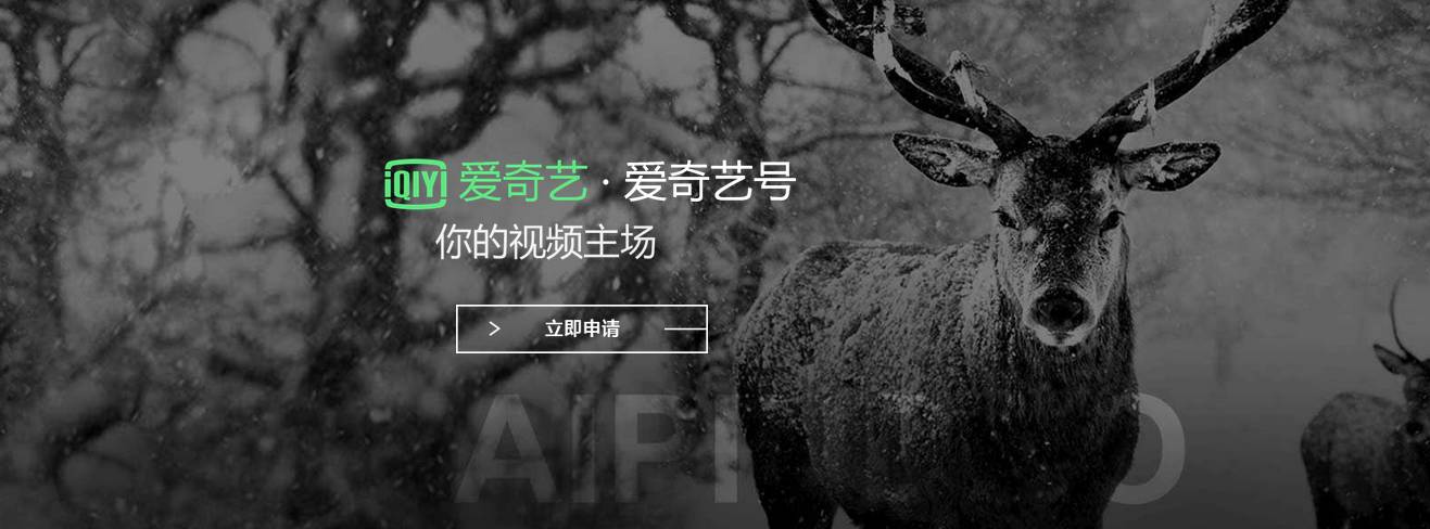 爱奇艺公众平台上线，短视频依旧是风口！