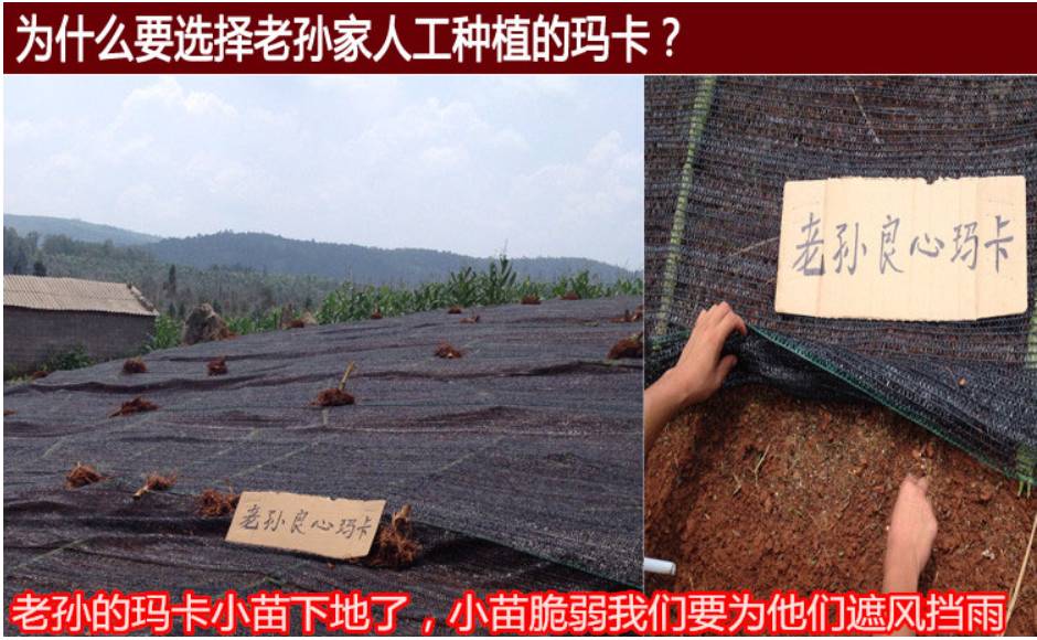 用实例司令带你剖析真人主题玩法的种种细节（中）