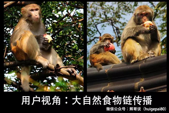 刻意练习用户视角，居然从梯子理论找到快速入口