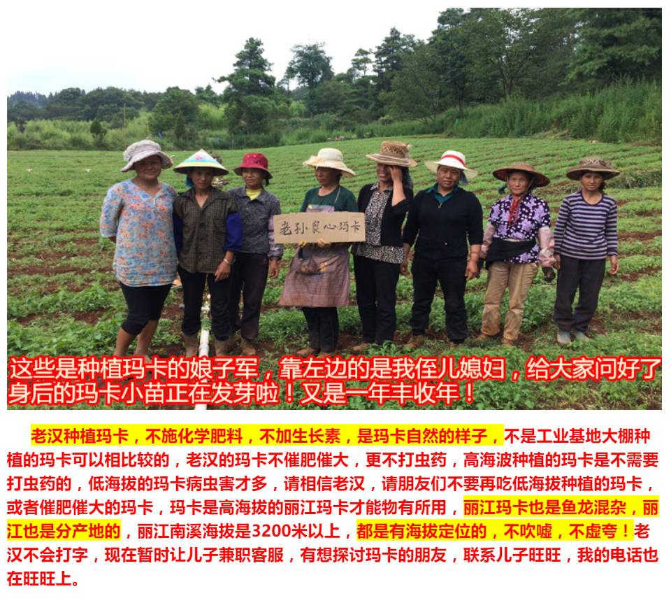 用实例司令带你剖析真人主题玩法的种种细节（中）