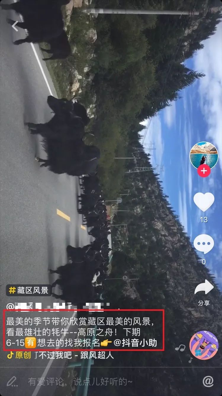单号截流千元收益，抖音带你风口上起飞！