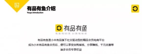 揭秘！有品有鱼是什么？有品有鱼能不能做？