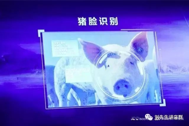 太罕见！刚刚，刘强东再爆猛料！还是对它下了手.....