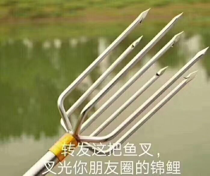 全国各地搞锦鲤，仅是抽奖这么简单？