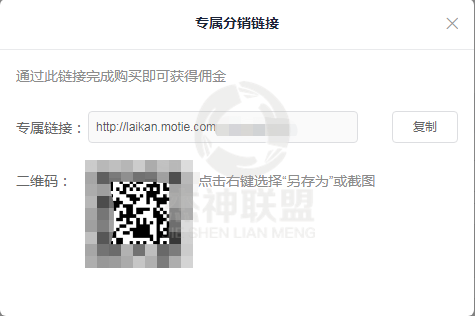 小说分销简单又赚钱，直接上手玩起来！
