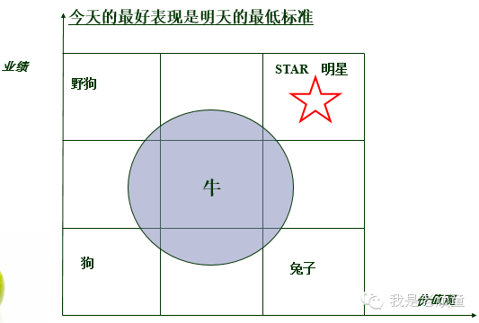 文化是团队的灵魂，是企业的DNA