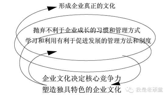 品牌第6期：走进华为(狼性文化)