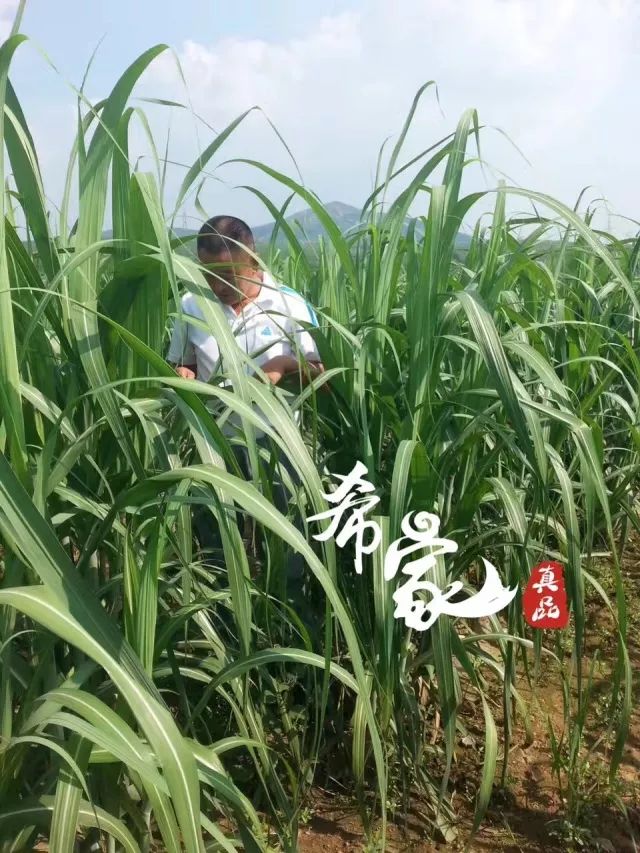 0后美女店主如何通过口碑获得微店第一桶金？"