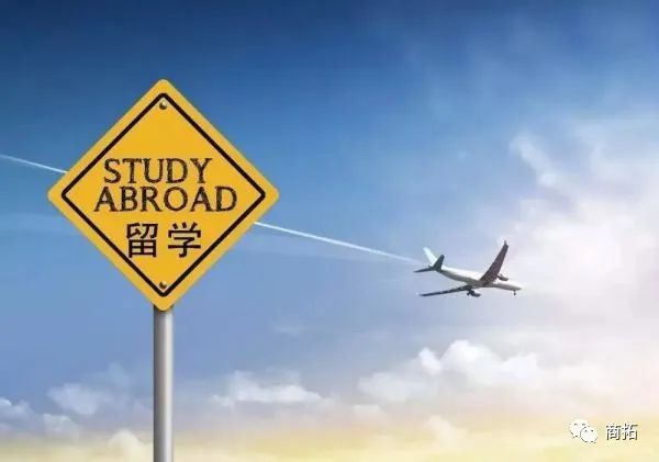 向左搜索，向右社交，务实时代怎么选择