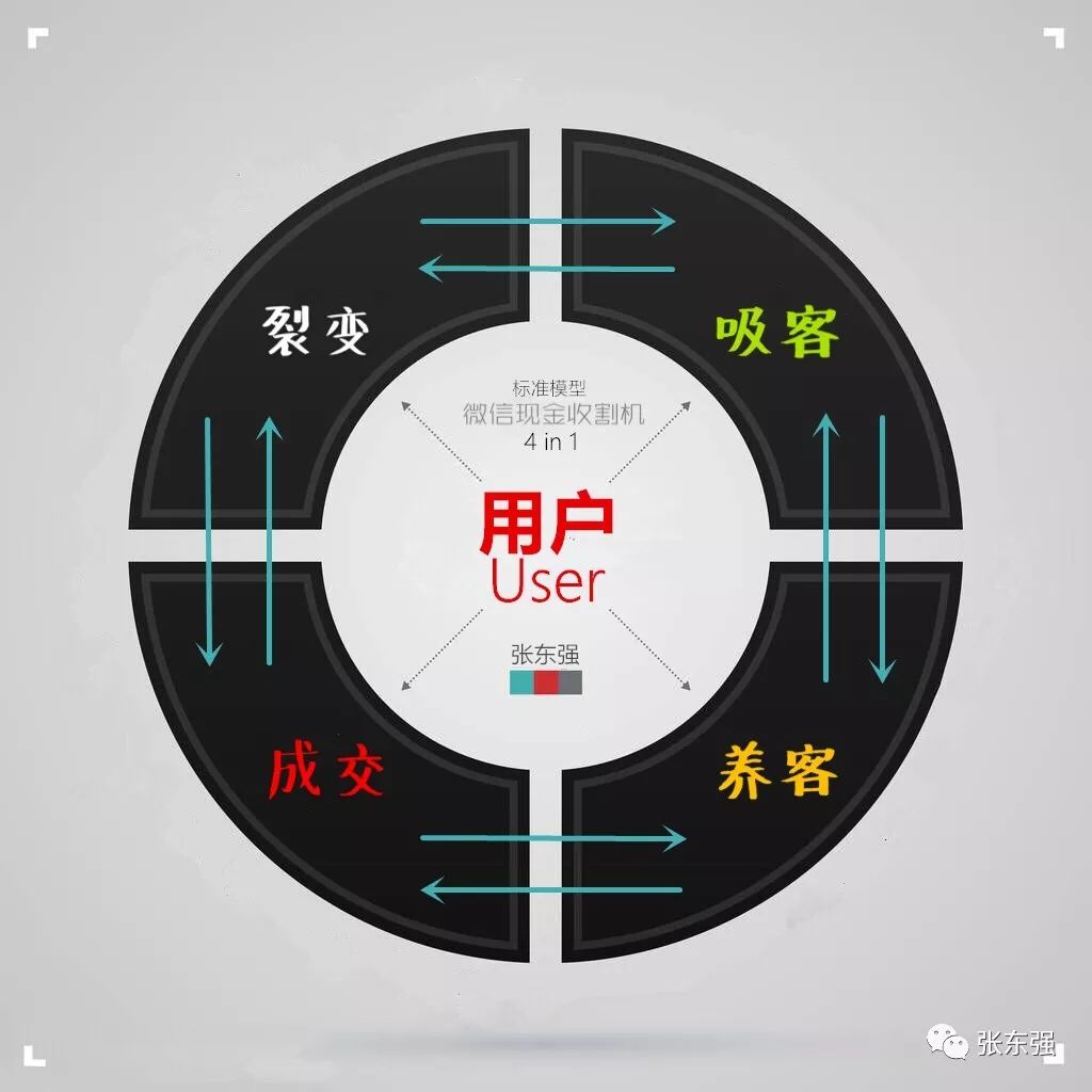 张东强：赚钱，赚钱，躺着赚钱！