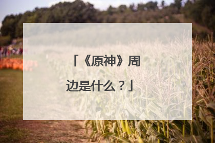 《原神》周边是什么?
