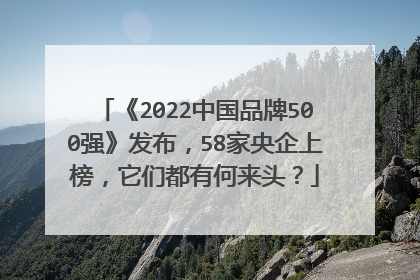 《2022中国品牌500强》发布,58家央企上榜,它们都有何来头?